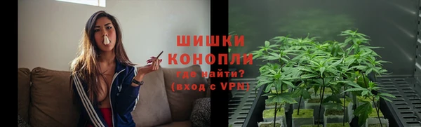дмт Арсеньев