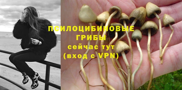 дмт Арсеньев